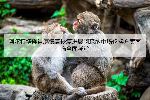 阿尔特塔确认厄德高恢复进展阿森纳中场轮换方案面临全面考验（ODSPORTS）